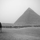 Pyramide Kairo