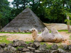 Pyramide oder Sehnsucht