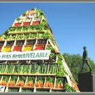 Pyramide pour le général