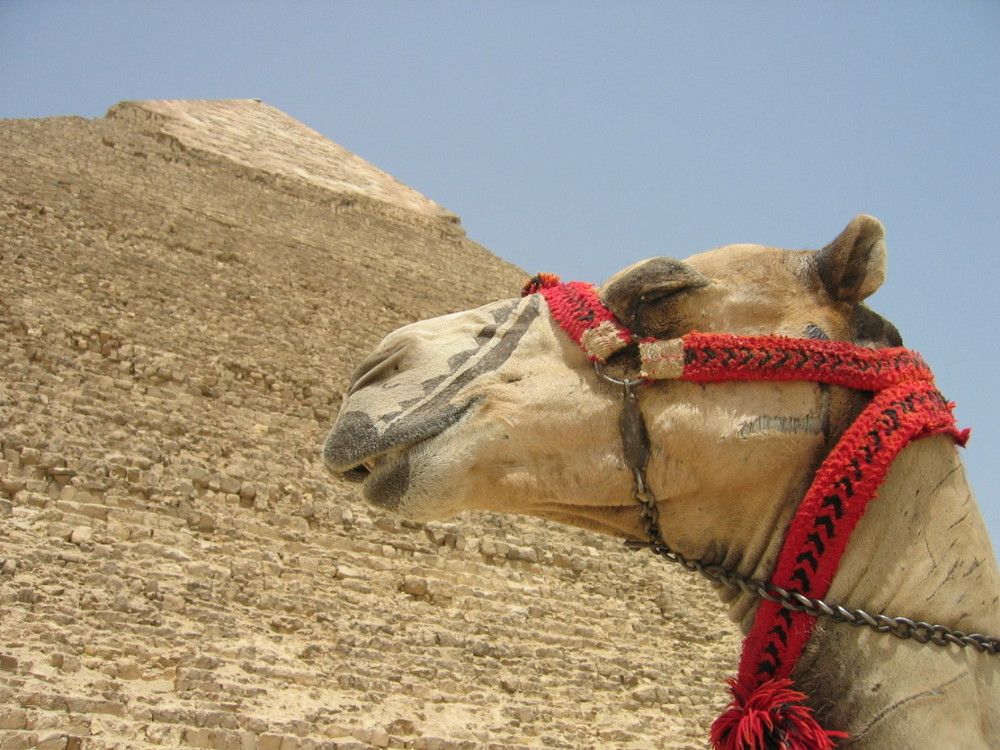 Pyramide von Gizeh