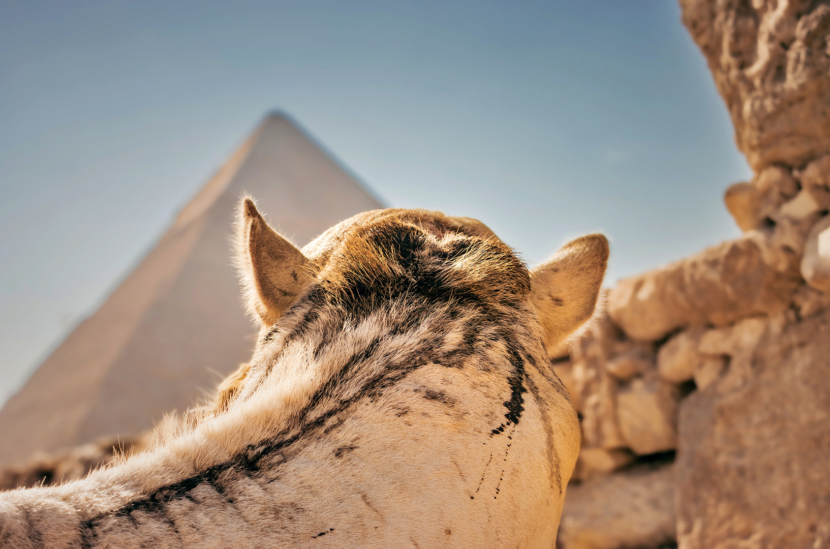 Pyramidenblick