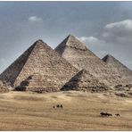 Pyramids with Camels and Horses