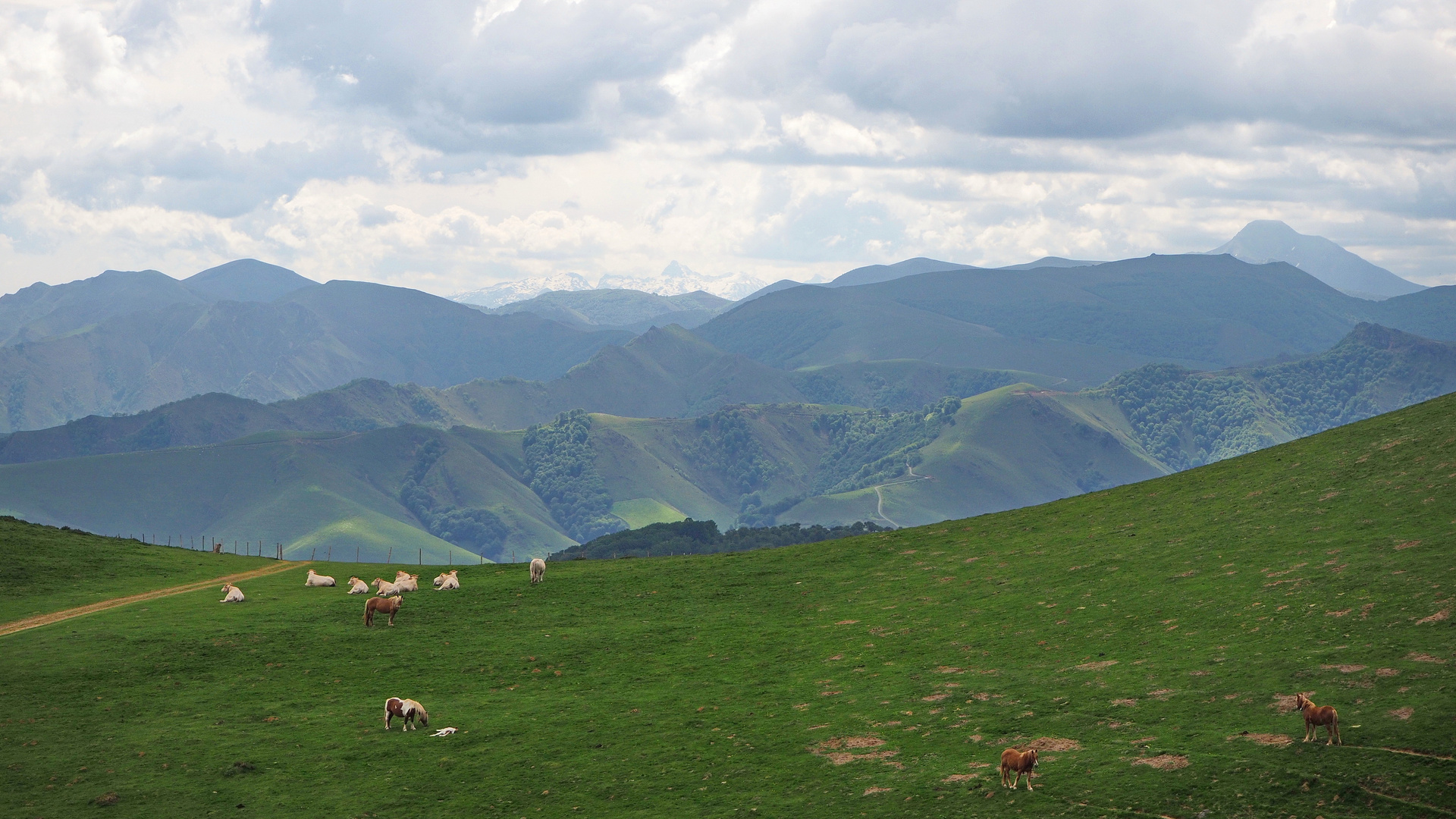 Pyrenäenüberquerung: von Saint-Jean-Pied-de-Port nach Roncesvalles