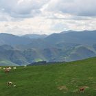 Pyrenäenüberquerung: von Saint-Jean-Pied-de-Port nach Roncesvalles