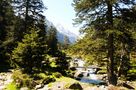 Pyrénées de Marchesi daniel 