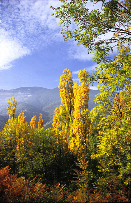 Pyrénées