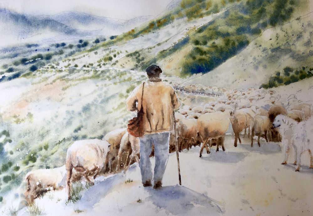 Pyrénées (3) - Transhumance