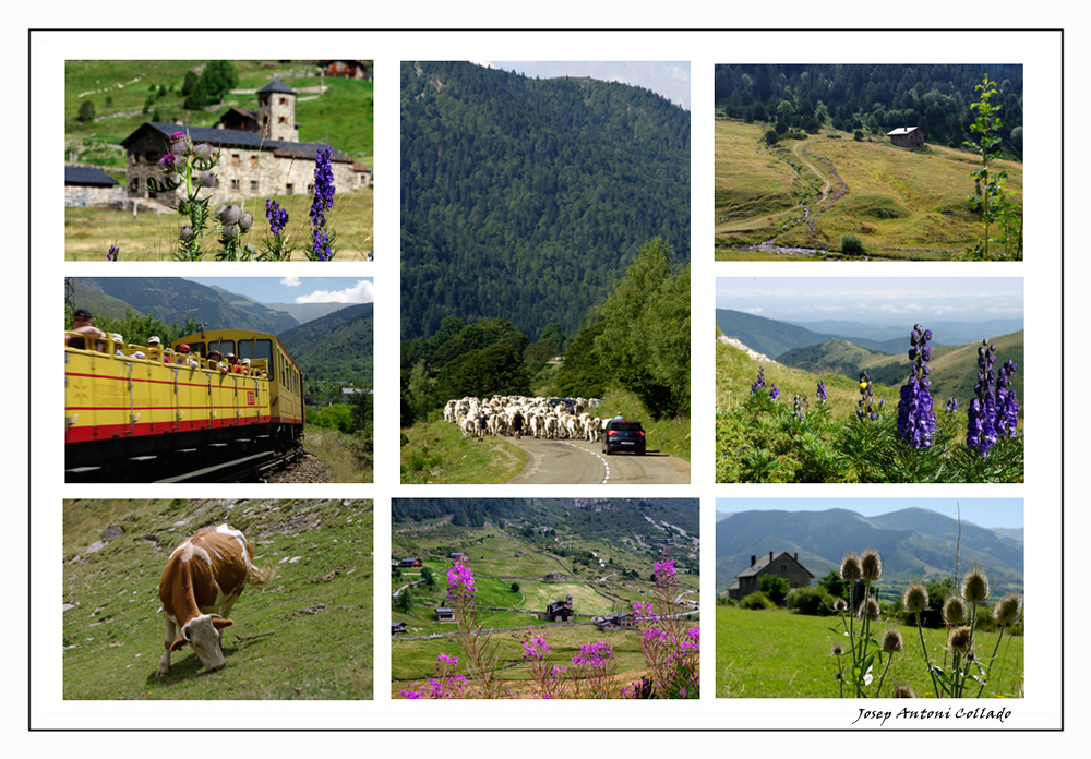 Pyrenees