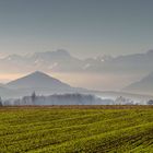 pyrénées