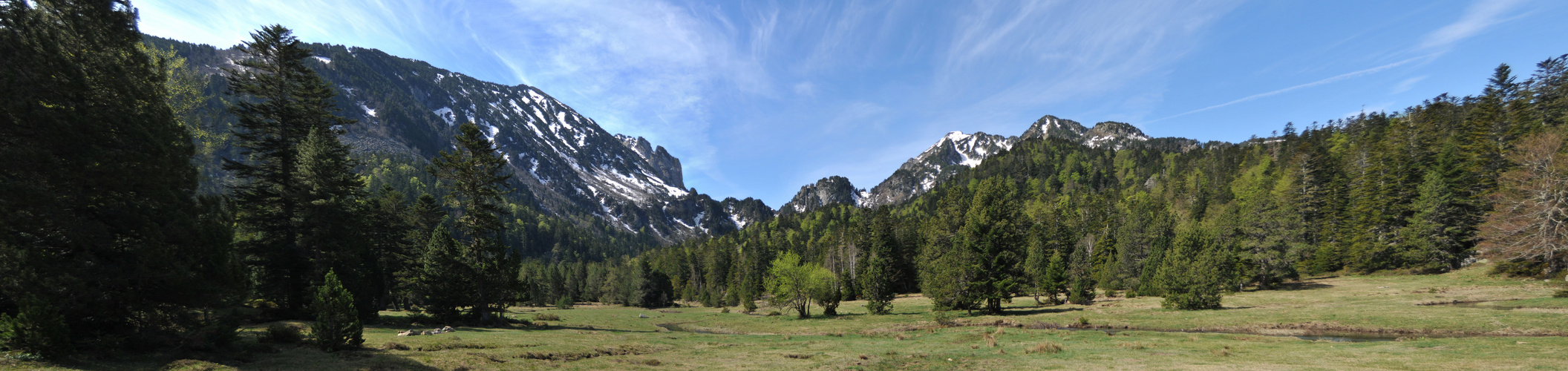 pyrénées