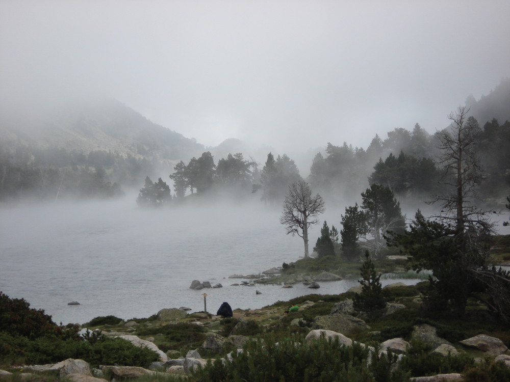 Pyrenees