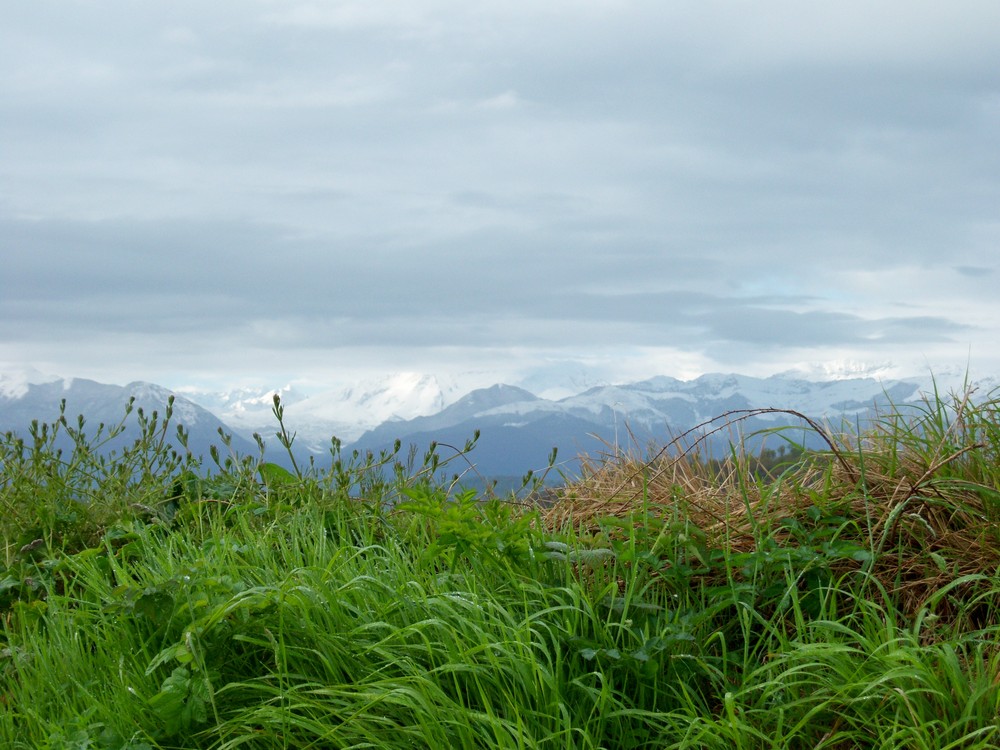 Pyrénées