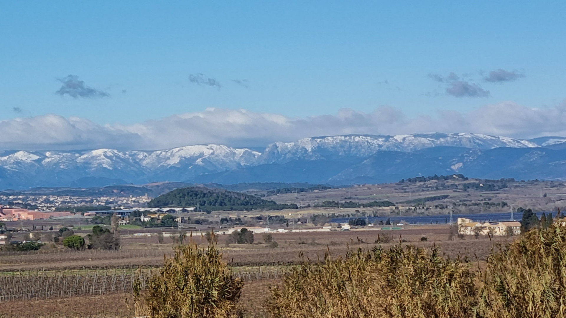 Pyrénées depuis Béziers