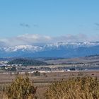 Pyrénées depuis Béziers