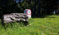 Pyrénées orientales 