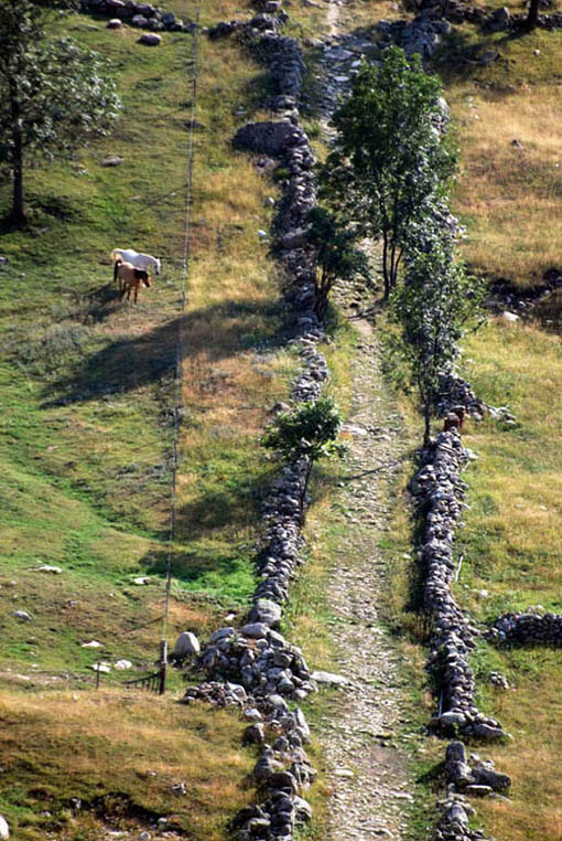 Pyrénées Orientales