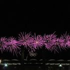 Pyronale Berlin 2014 Olympiastadion