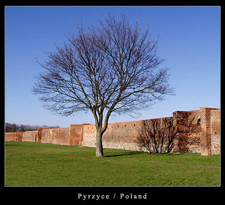 Pyrzyce