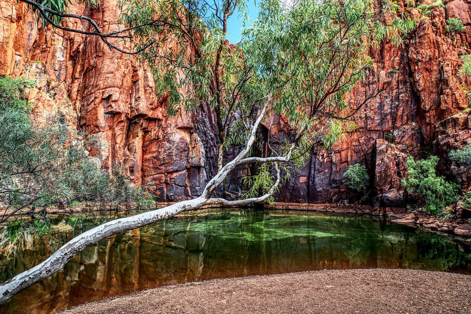 Python Pool Foto & Bild | australia & oceania, experimente, australia ...