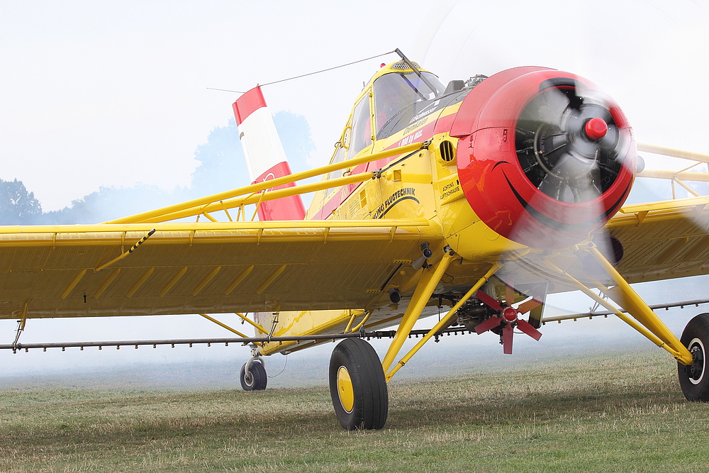 PZL 106 Kruk DDR-TAB / D-FOAB - auch ein Star - bei Tannkosch 2013 V