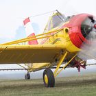 PZL 106 Kruk DDR-TAB / D-FOAB - auch ein Star - bei Tannkosch 2013 V