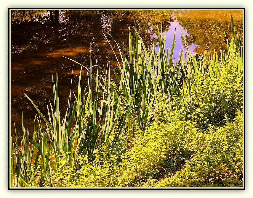 Q comme...Quiétude au bord de l'eau