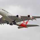 Qantas A380 Final Reg. VH-OQL/ Phyllis Arnott