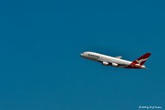 Qantas Arline