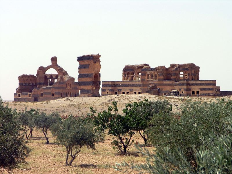 Qasr Ibn Wardan