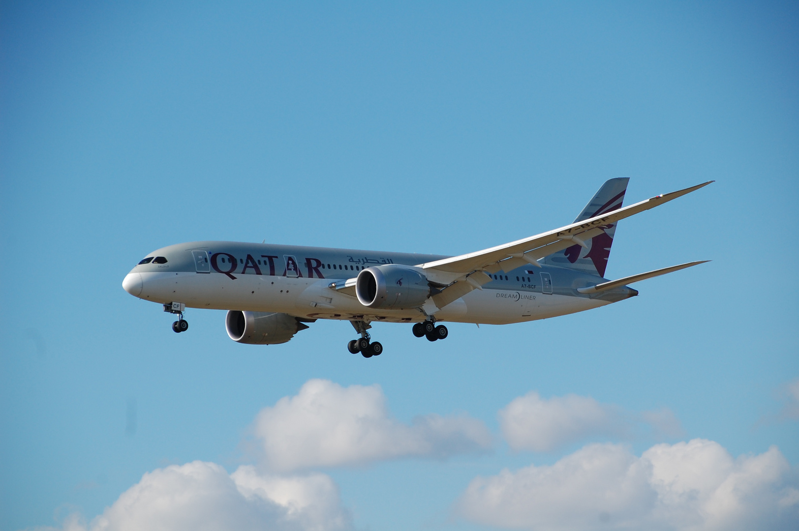 Qatar Airways (Boeing 787-8)