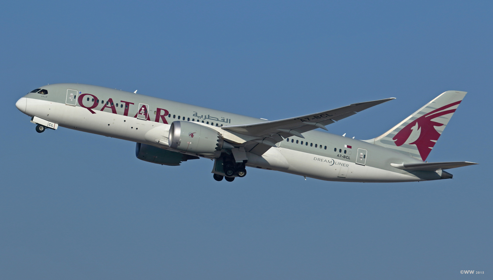 'Qatar - Dreamliner'