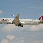 Qatar Dreamliner