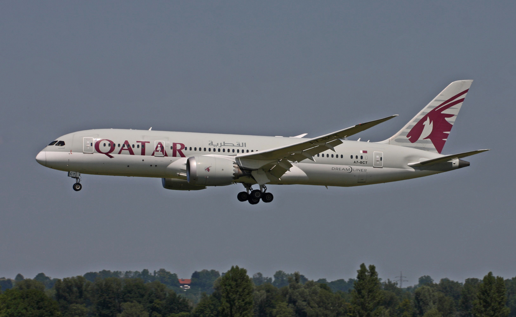 Qatar Dreamliner