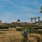 Qena Dendera-Tempel 1