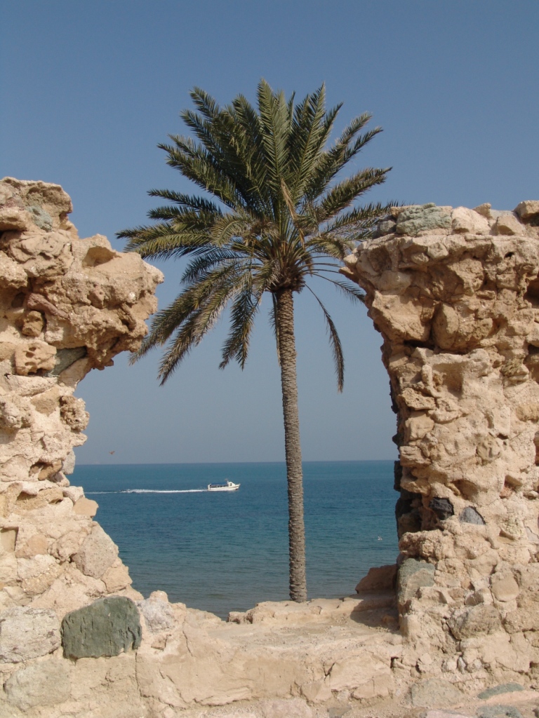 Qeshm Island-Persian Golf