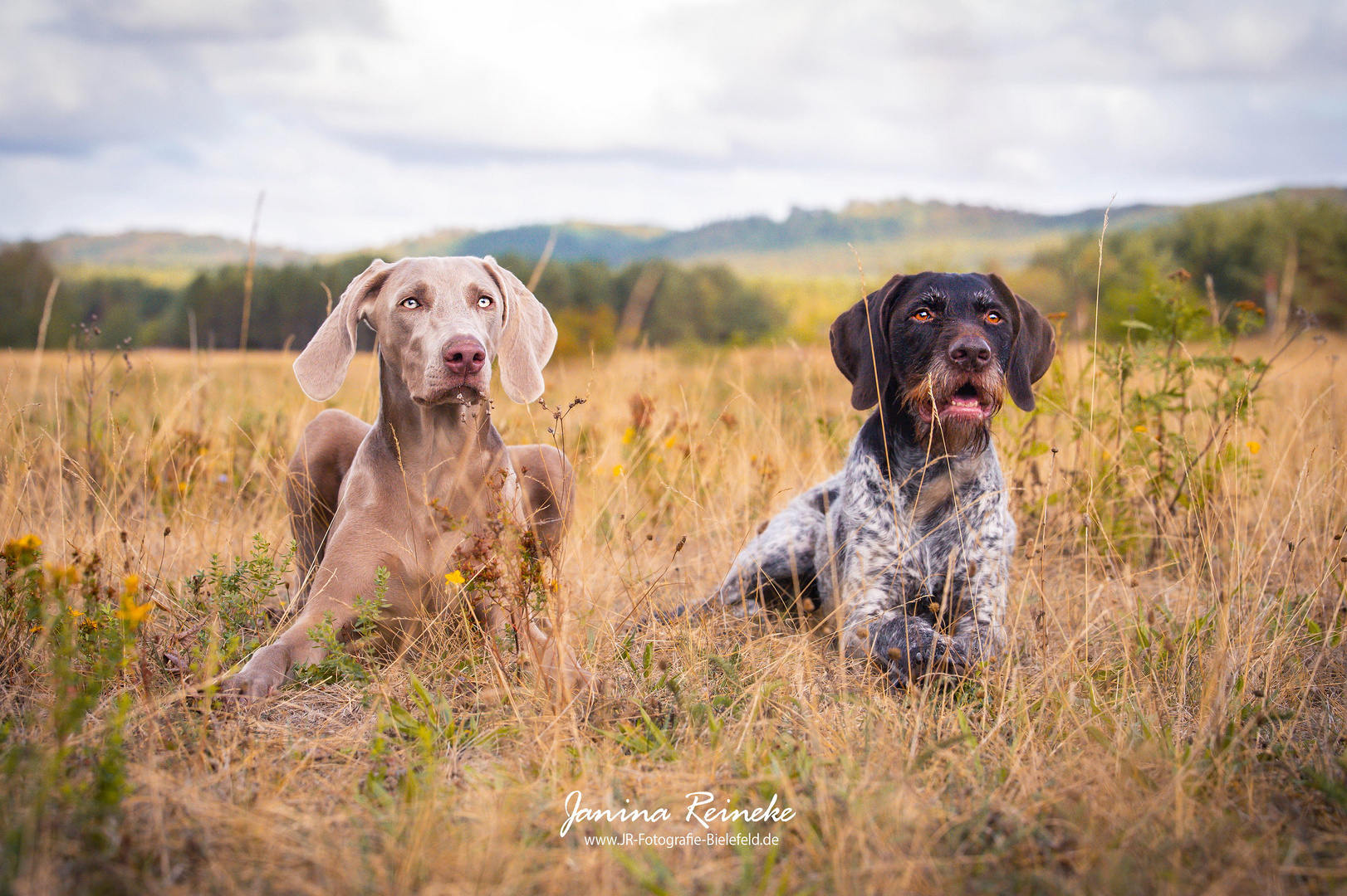 Qesra & Greta im Gras