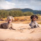 Qesra & Greta im Sand