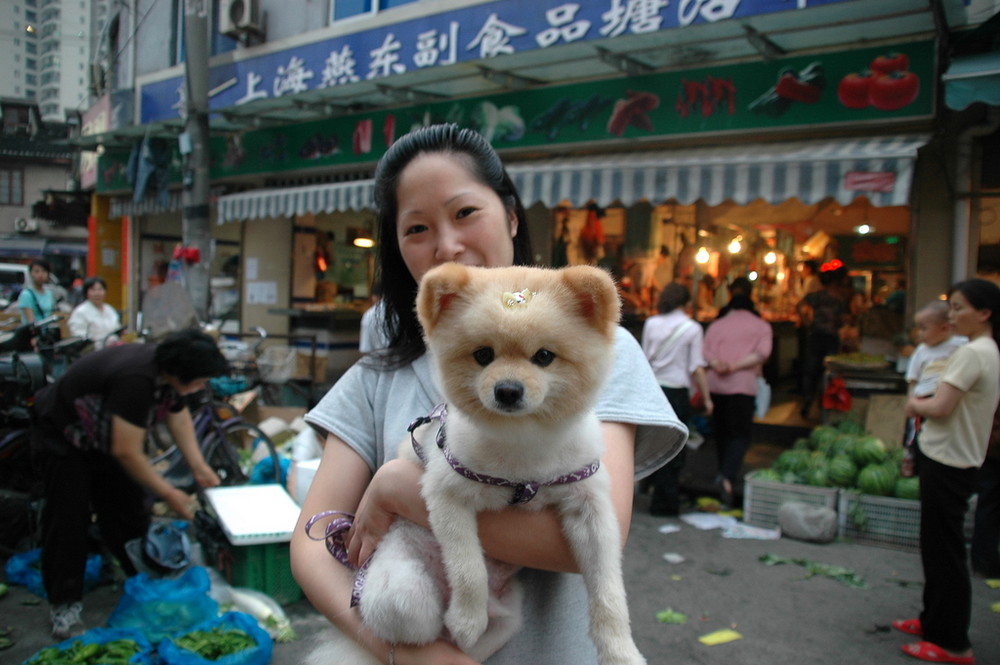 Qi Pu Market