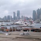 Qingdao (Tsingdao) Hafen beim Olympiagelände im Oktober 2012