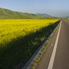 Qinghai Lake