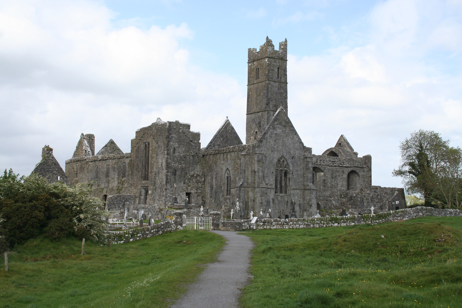 Qinn Abbey