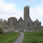 Qinn Abbey