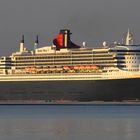 QM2 im Morgenlicht