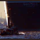 QM2 in Oel