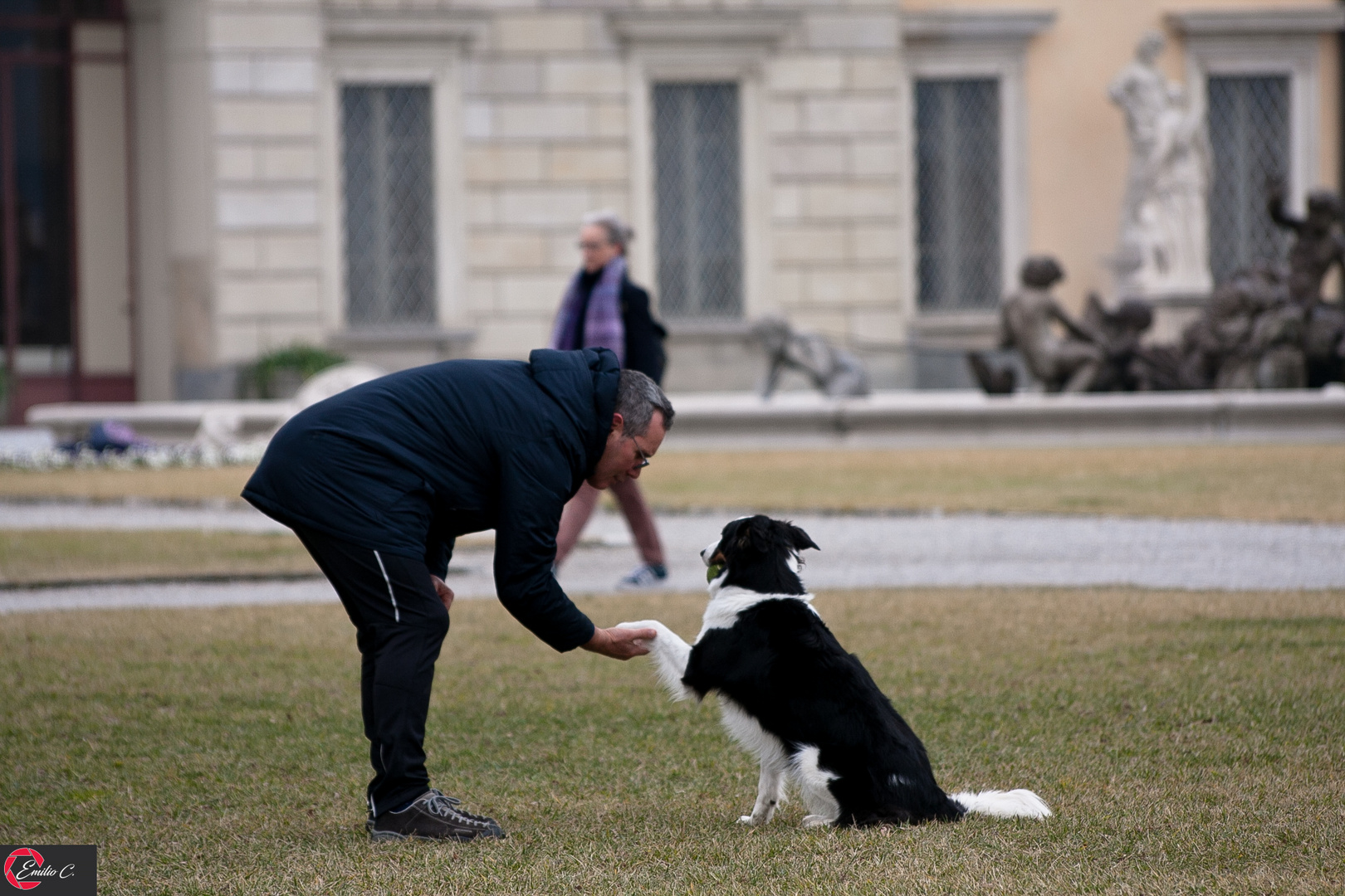 Qua la zampa amico