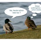 Quack - Quatsch