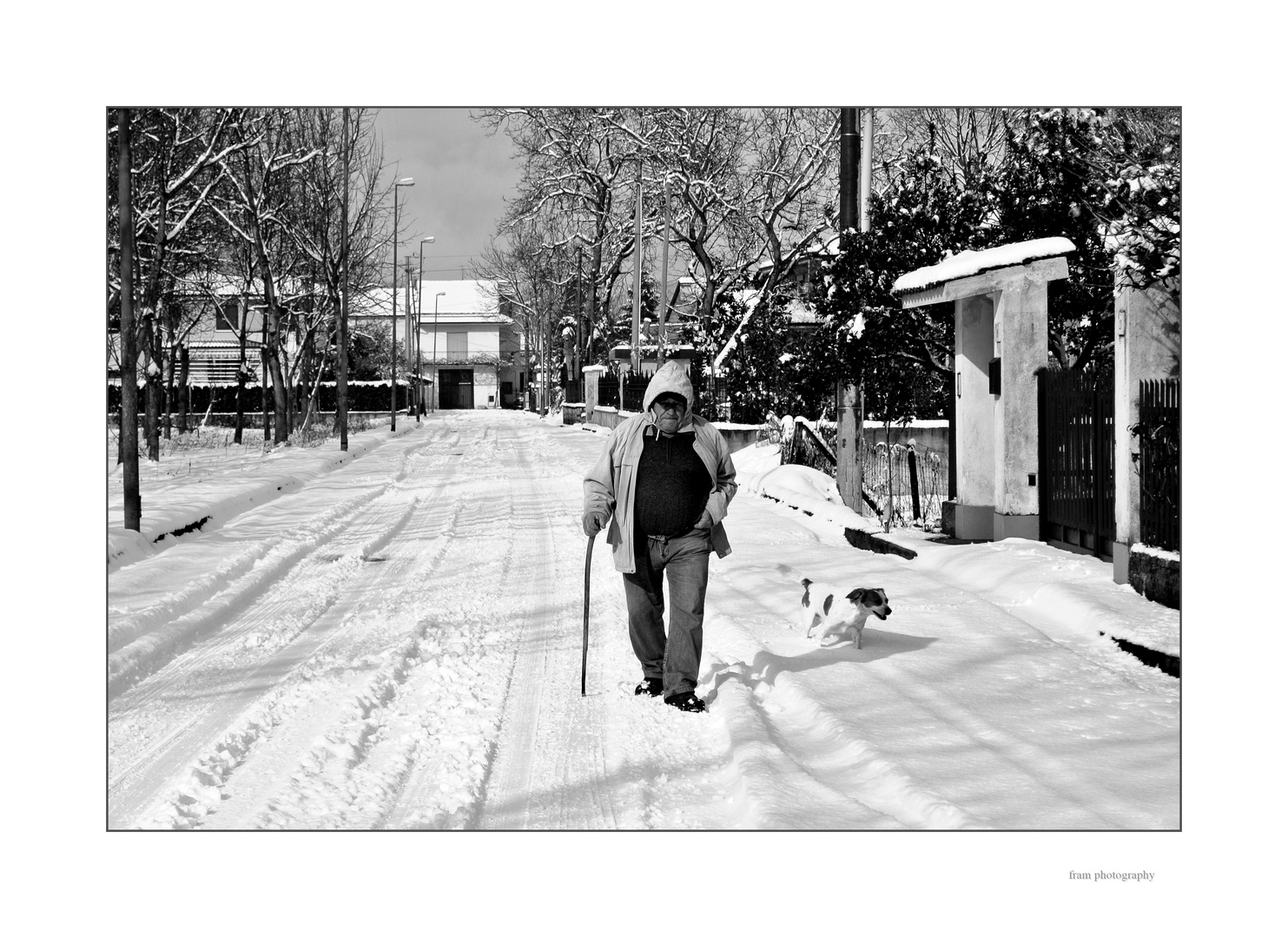 quaderni fotografici - l'uomo e il cane