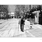 quaderni fotografici - l'uomo e il cane