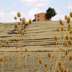 Quadretto Lucano