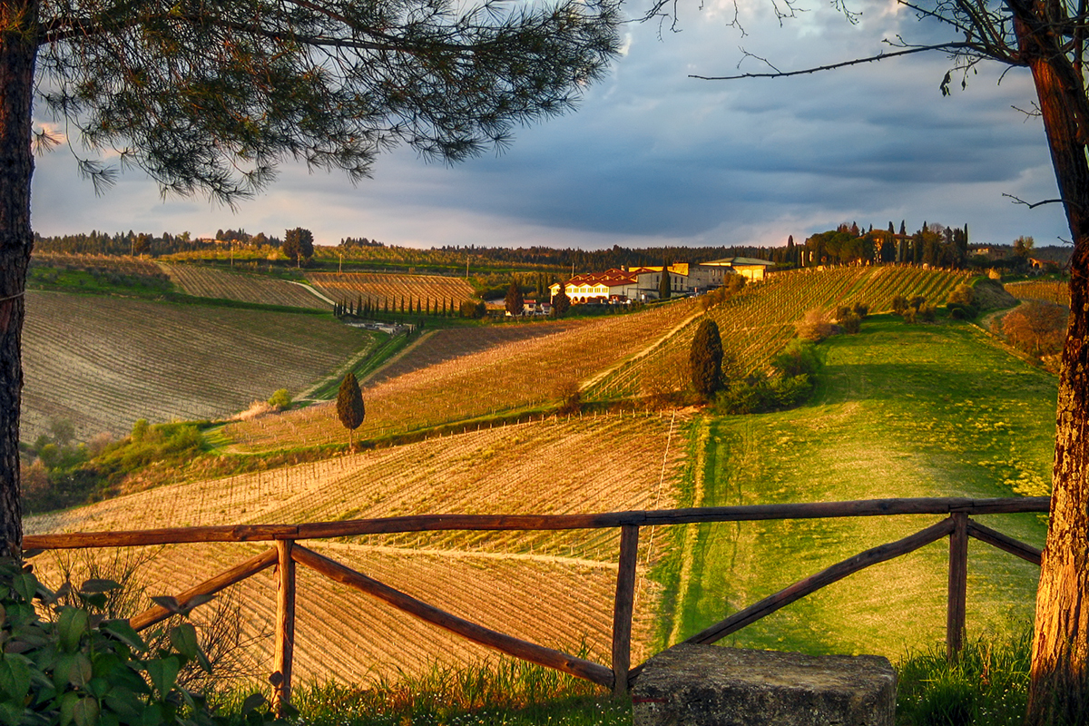 Quadretto sul Chianti